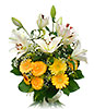 Lilies & Gerberas