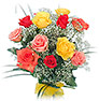Dozen colorful roses